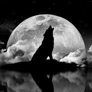 HoundHowlsAtMoon